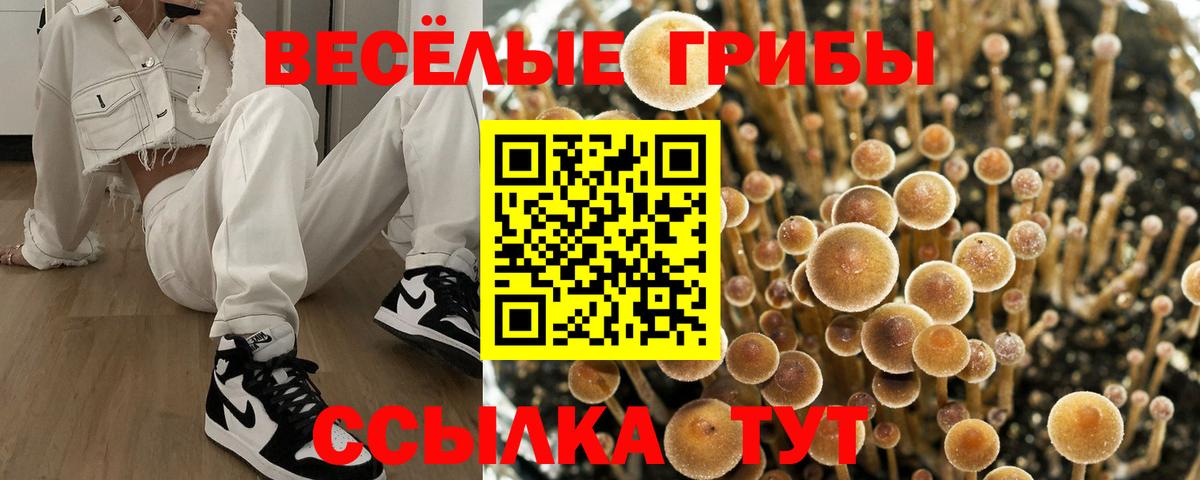 Галлюциногенные грибы Cubensis  Вход с VPN  Красноярск 