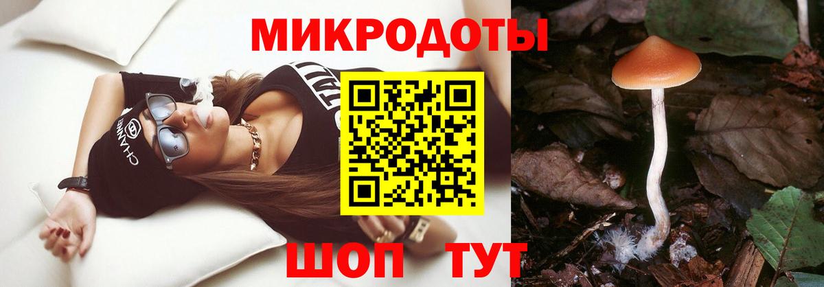 Галлюциногенные грибы мицелий Красноярск